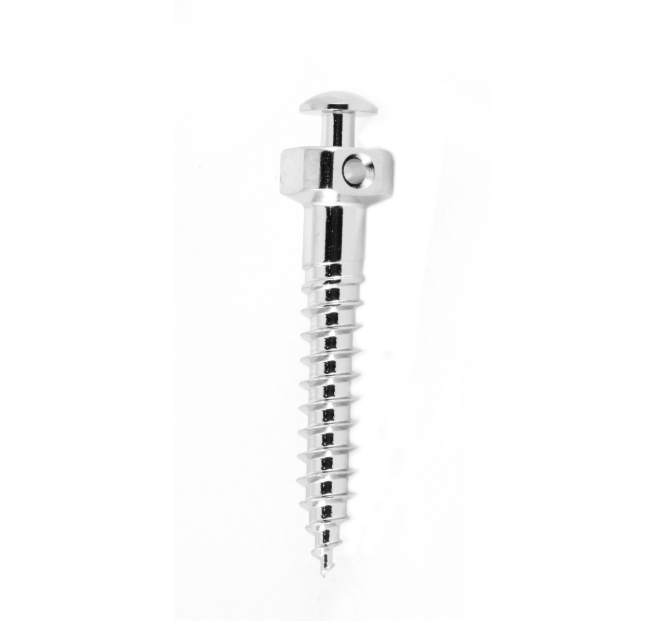 MICRO TORNILLO 2.0 X 10 MM 1 PIEZA